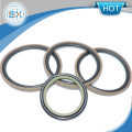 Piston Seals Uesd for Pneumatic Valves/Ladder Ring